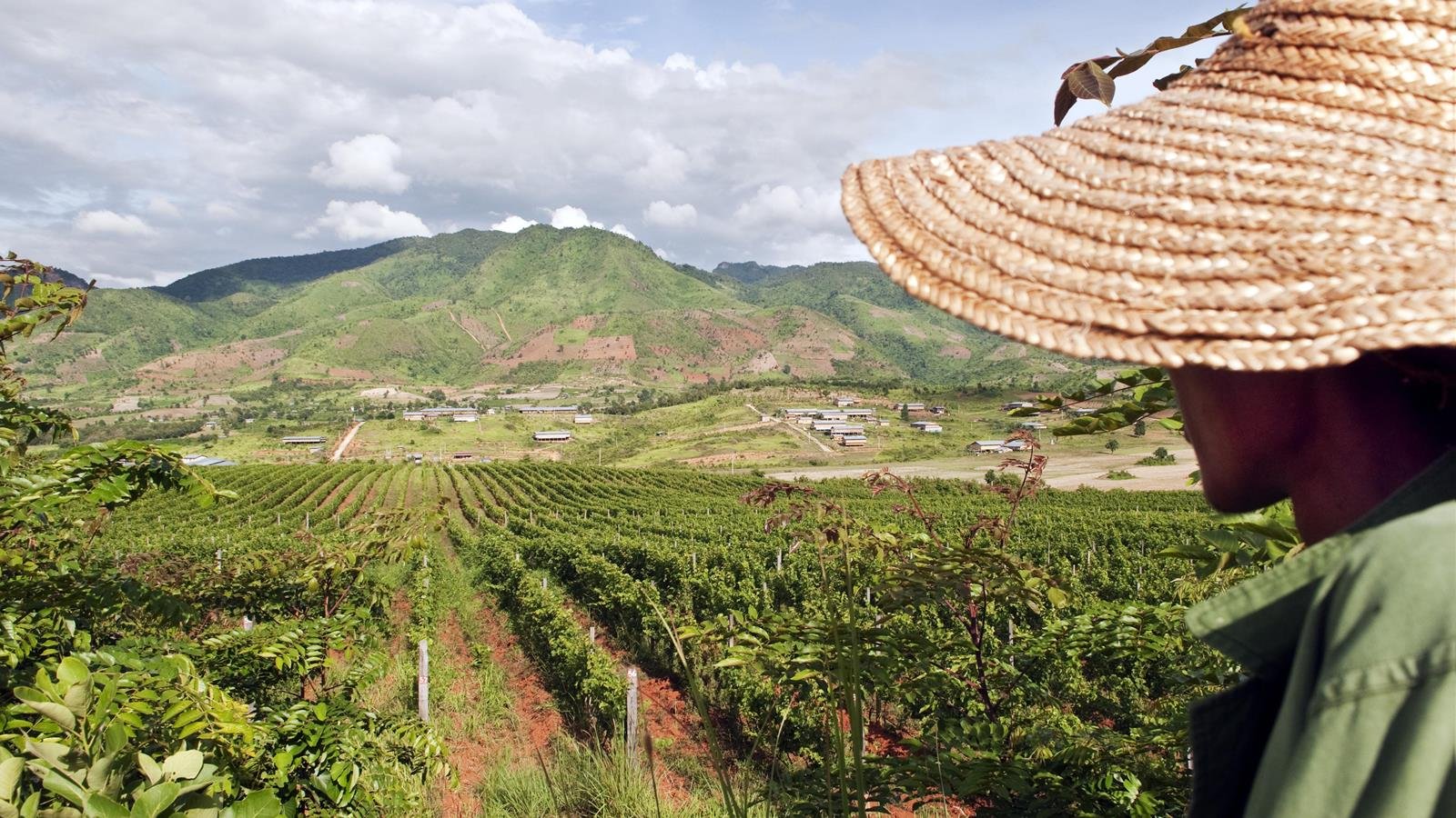 118871_gettyimages174602263